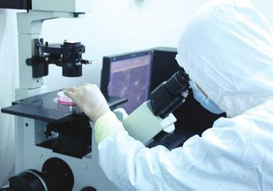 新浪网:白癜风的治疗方法推荐—中西医结合治疗