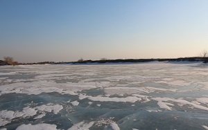 导致儿童发生白癜风的“诱苗”是什么
